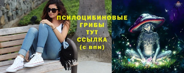 PSILOCYBIN Балабаново