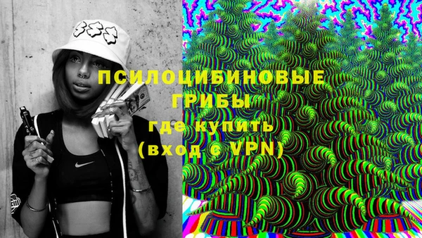 PSILOCYBIN Балабаново