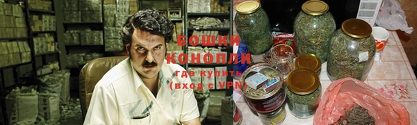 PSILOCYBIN Балабаново